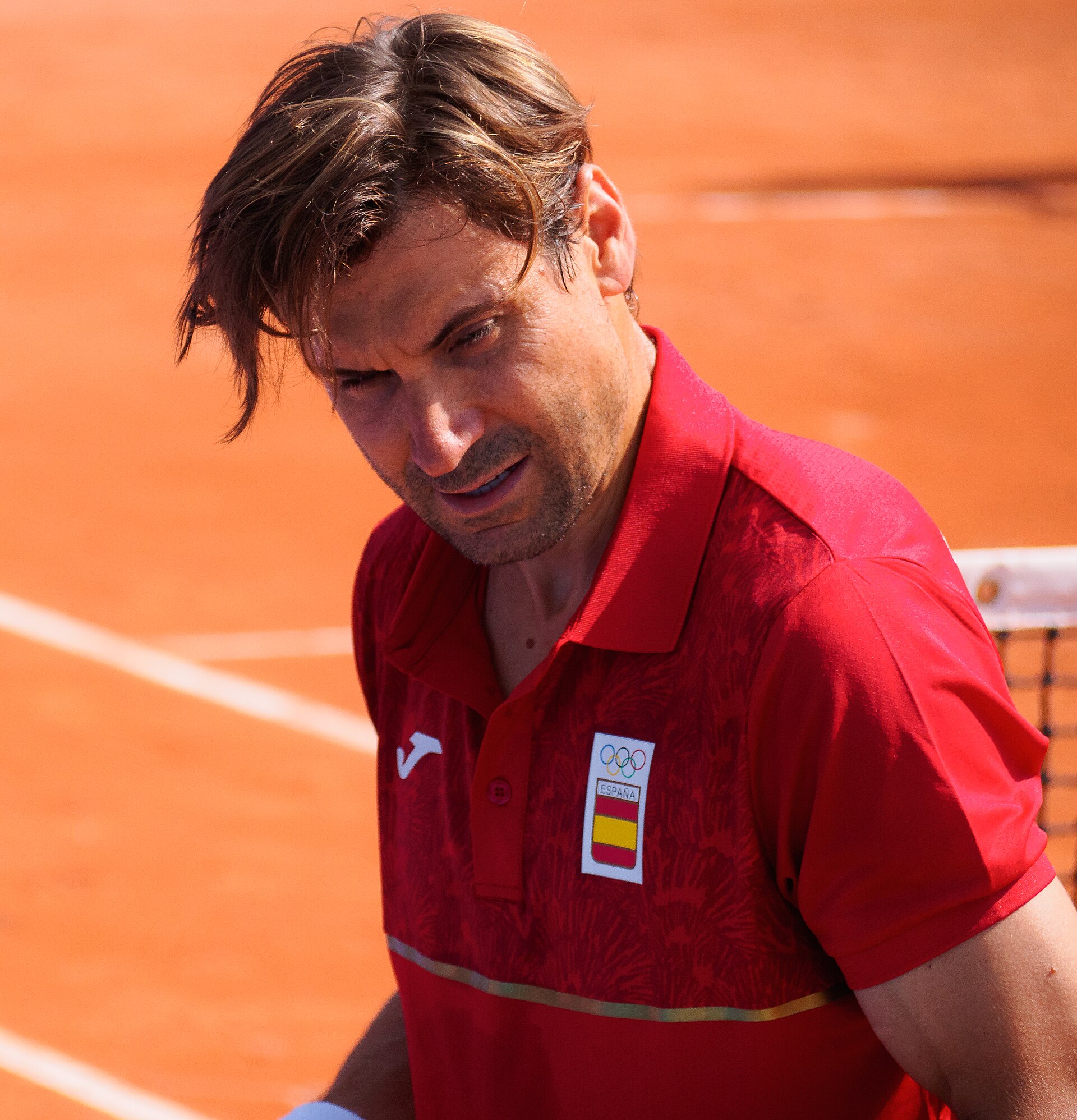 Imagem de referência relacionada a David Ferrer, item descrito como tenista espanhol