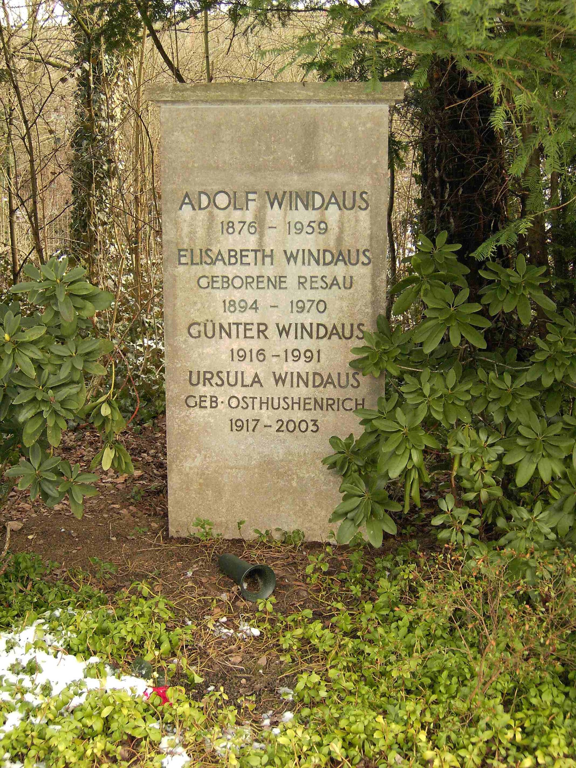 Imagem de referência relacionada a Adolf Otto Reinhold Windaus, item descrito como professor académico alemão