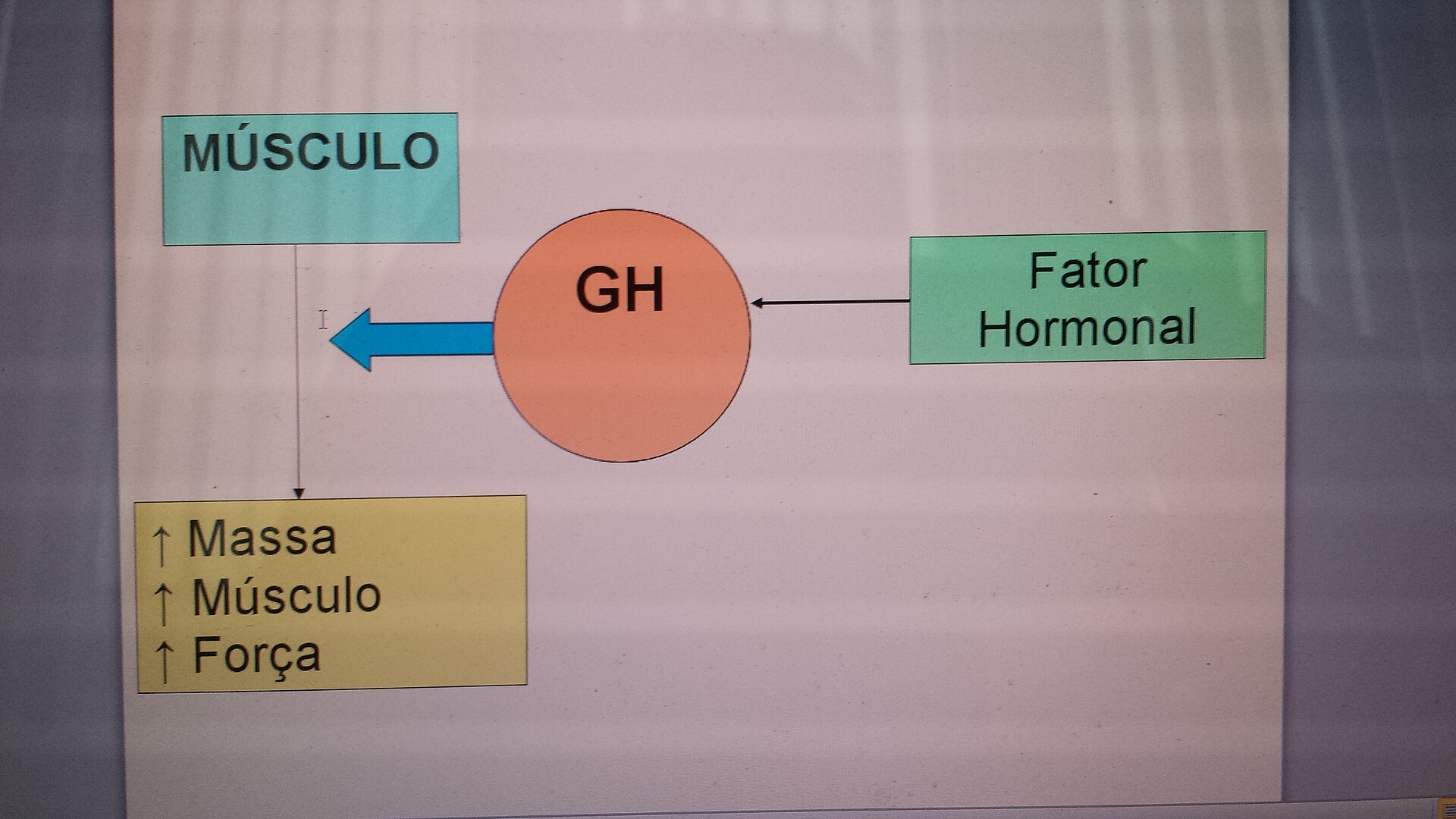 Imagem de referência relacionada a geriatria, item descrito como registro de referência sobre geriatria, organizado a partir de dados estruturados abertos