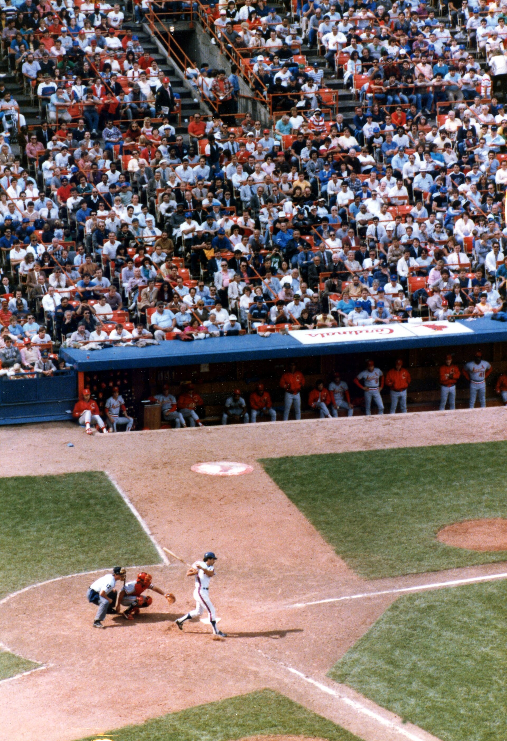 Imagem de referência de Keith Hernandez, descrito nos dados abertos como jogador de beisebol americano