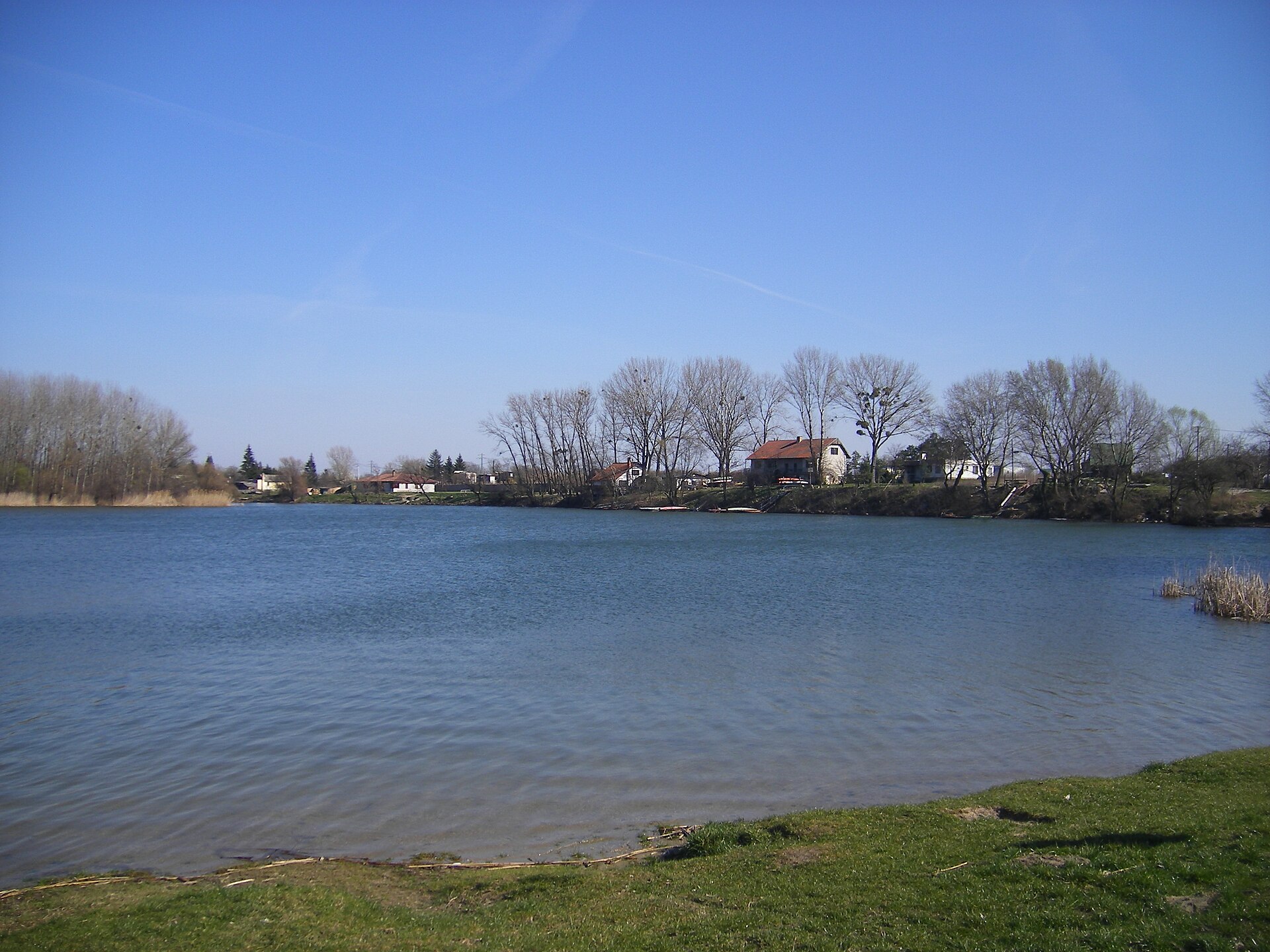 Imagem de referência de Grant Holt, descrito nos dados abertos como futebolista britânico