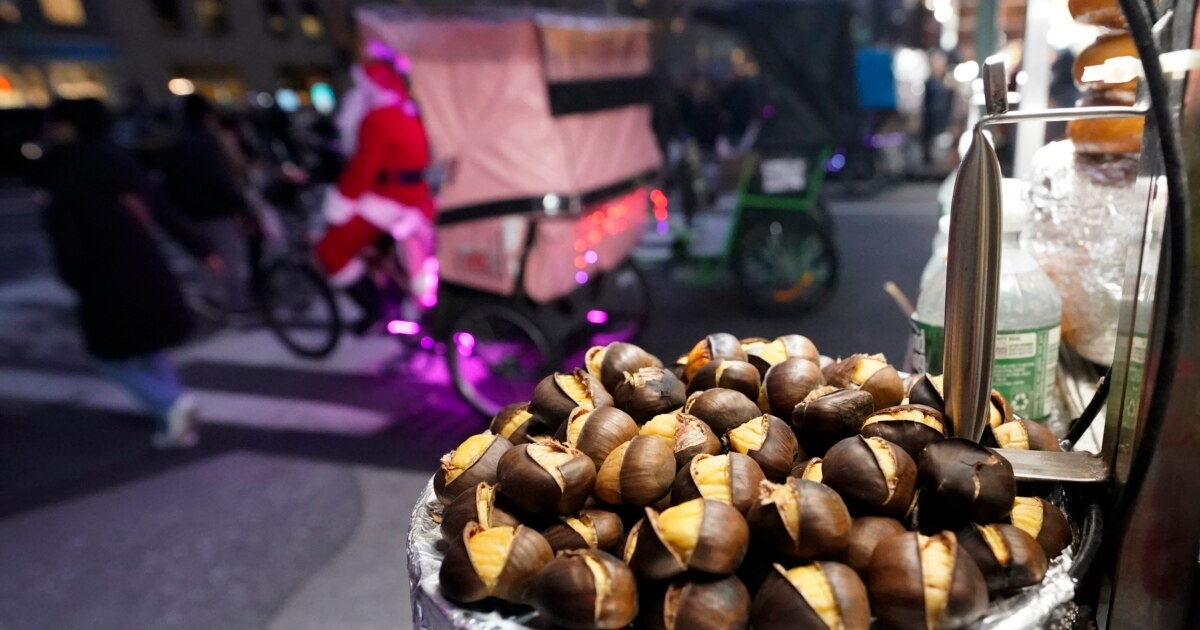 Imagem relacionada à notícia: Pesquisadores esperam trazer de volta castanhas americanas