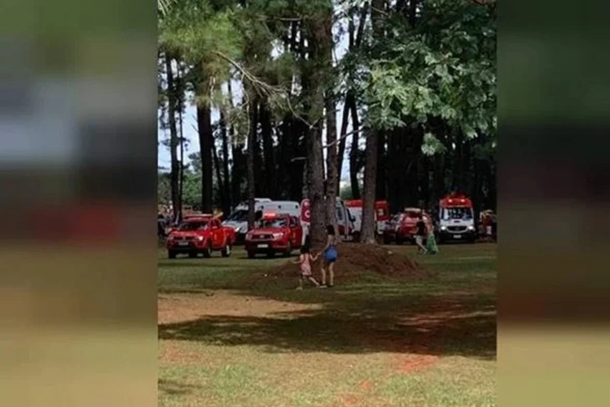 Justiça bloqueia verbas para pagar tratamento de jovem atingido por árvore