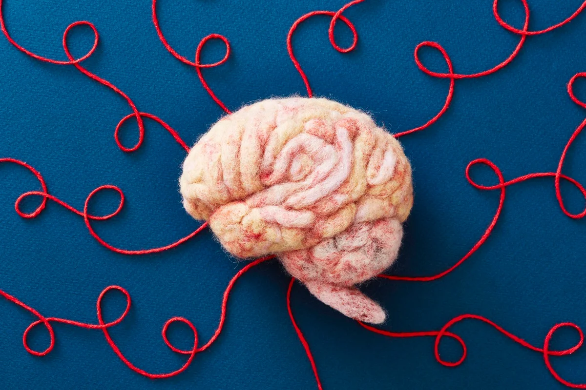 Foto mostra modelo de cérebro humano feito com linhas e tecido - Psicóloga explica por que ouvir opiniões diferentes causa desconforto - Metrópoles
