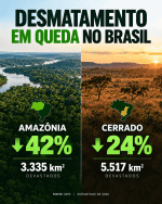 Amazônia bate recorde histórico com menor taxa de desmatamento já registrada