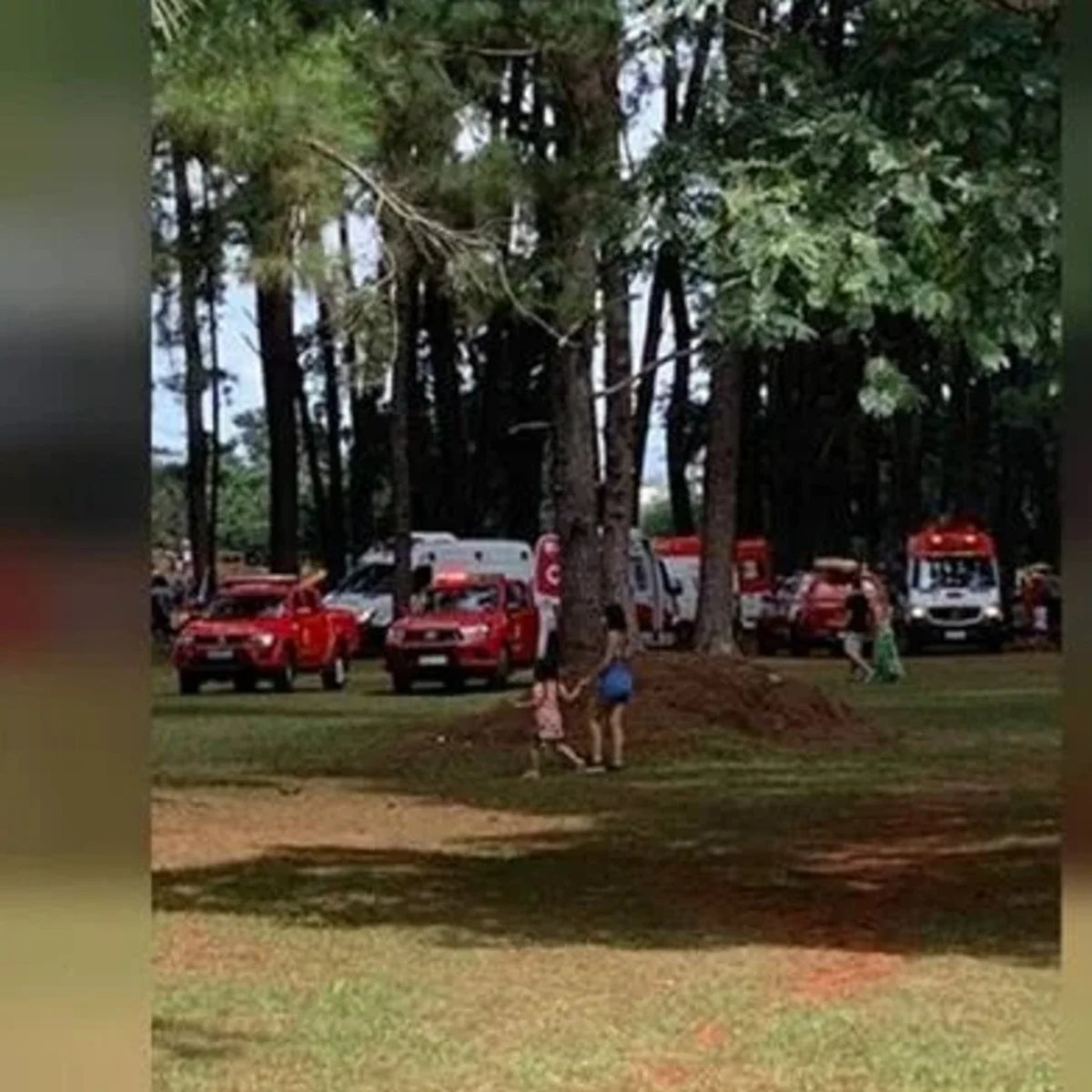 Justiça bloqueia verbas para pagar tratamento de jovem atingido por árvore