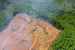Amazônia bate recorde histórico com menor taxa de desmatamento já registrada