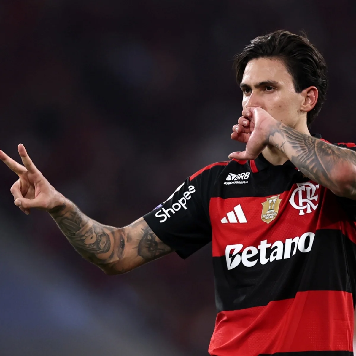 Bahia x Flamengo: onde assistir ao confronto pelo Campeonato Brasileiro