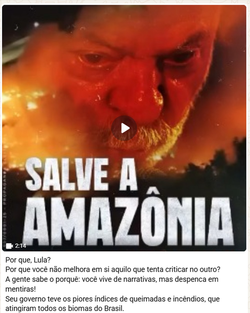 Imagem do grupo Tropa do Flávio compartilha informação imprecisa sobre Lula — Foto: Reprodução