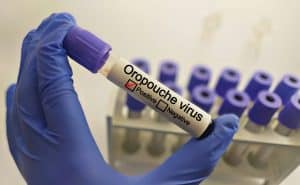Como as mudanças climáticas favorecem doenças infecciosas no Brasil