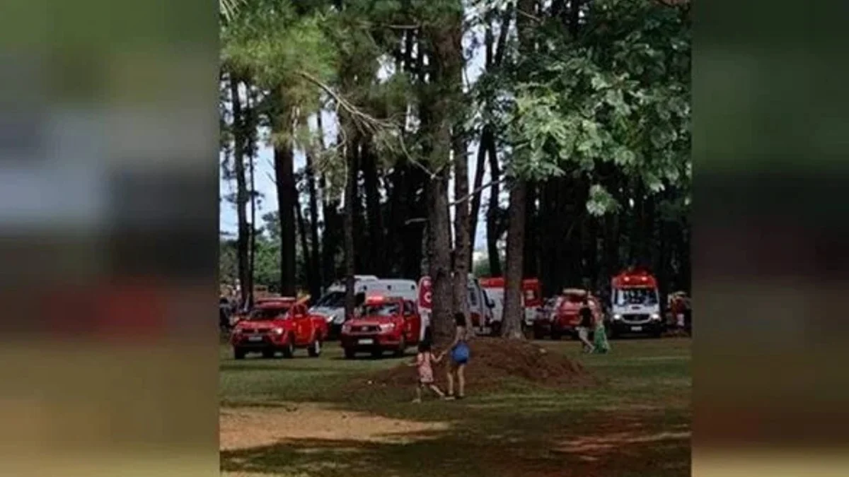 Justiça bloqueia verbas para pagar tratamento de jovem atingido por árvore