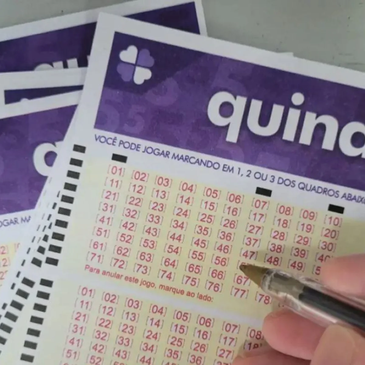 Quina 7135 sorteia R$ 24 milhões hoje (5/10). Confira resultado