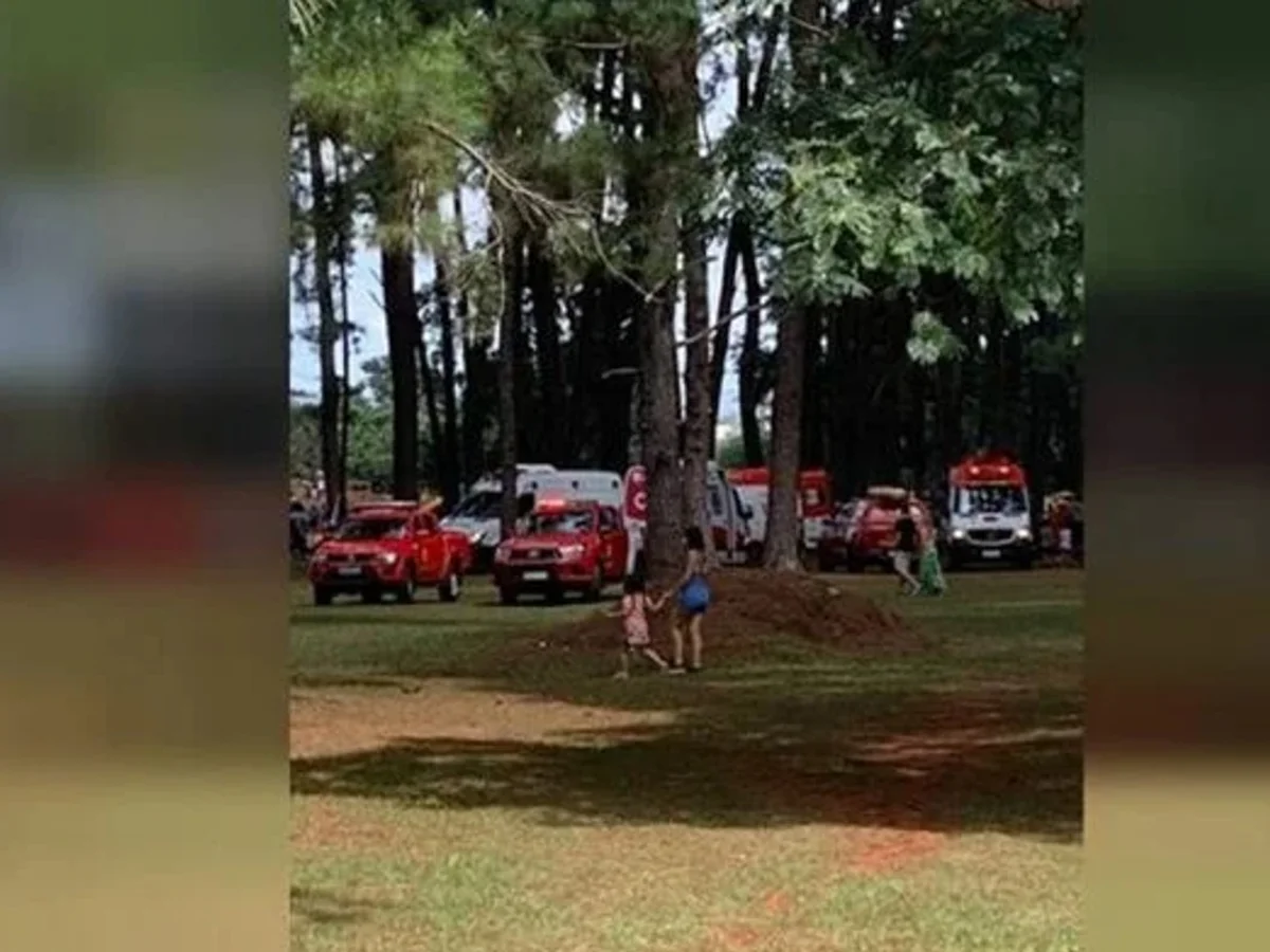 Justiça bloqueia verbas para pagar tratamento de jovem atingido por árvore