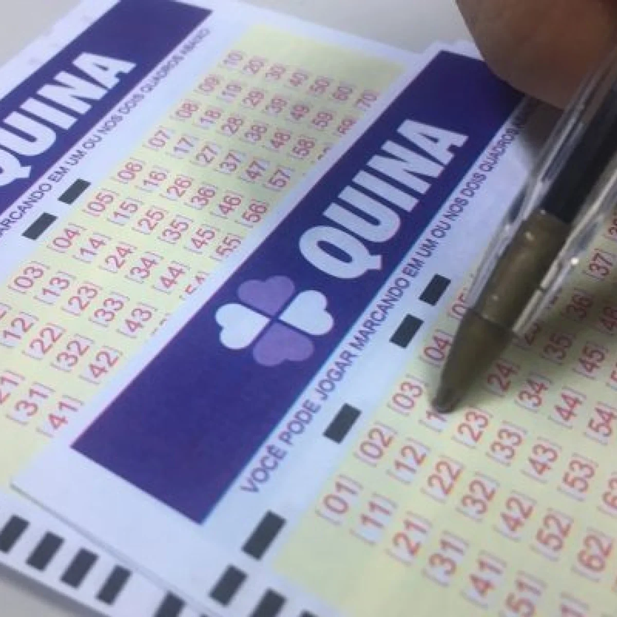 Quina 7141 acumula, e prêmio vai a R$ 36 milhões. Veja resultado